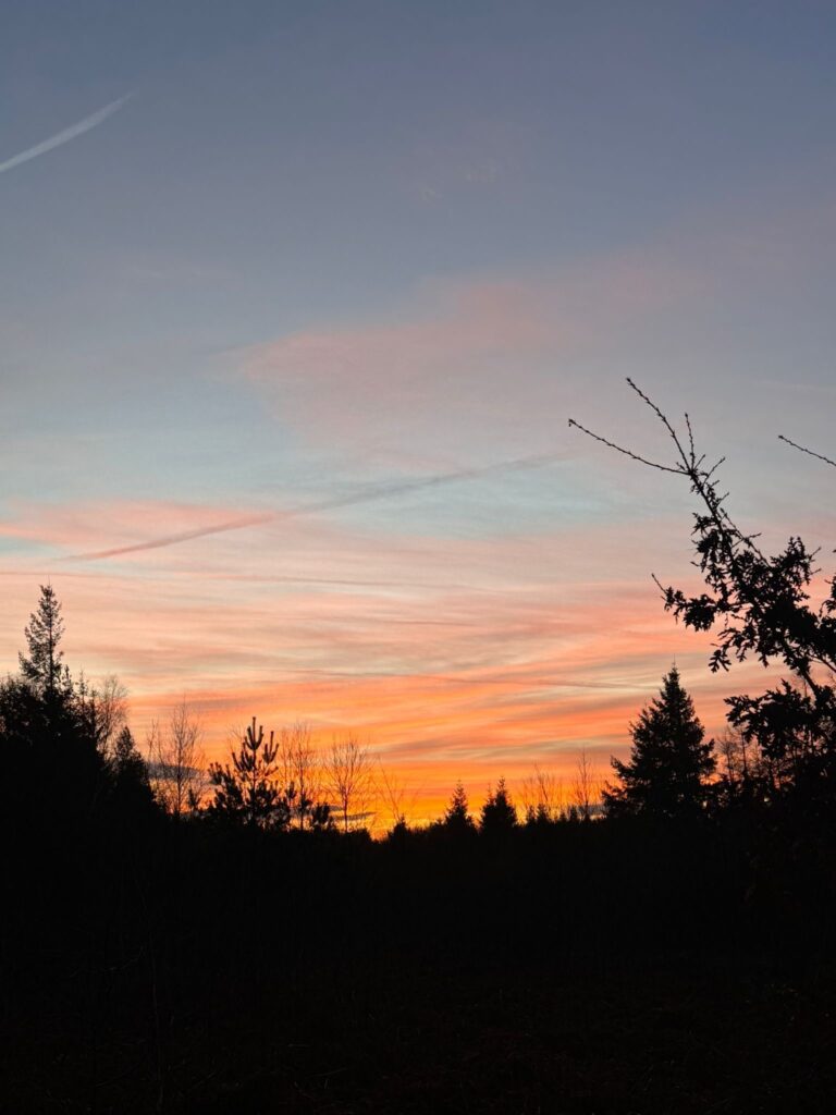 Sunrise at Haldon Forest during The CFHD Safeguarding Team's NSPCC's Walk for Children 5km walk.